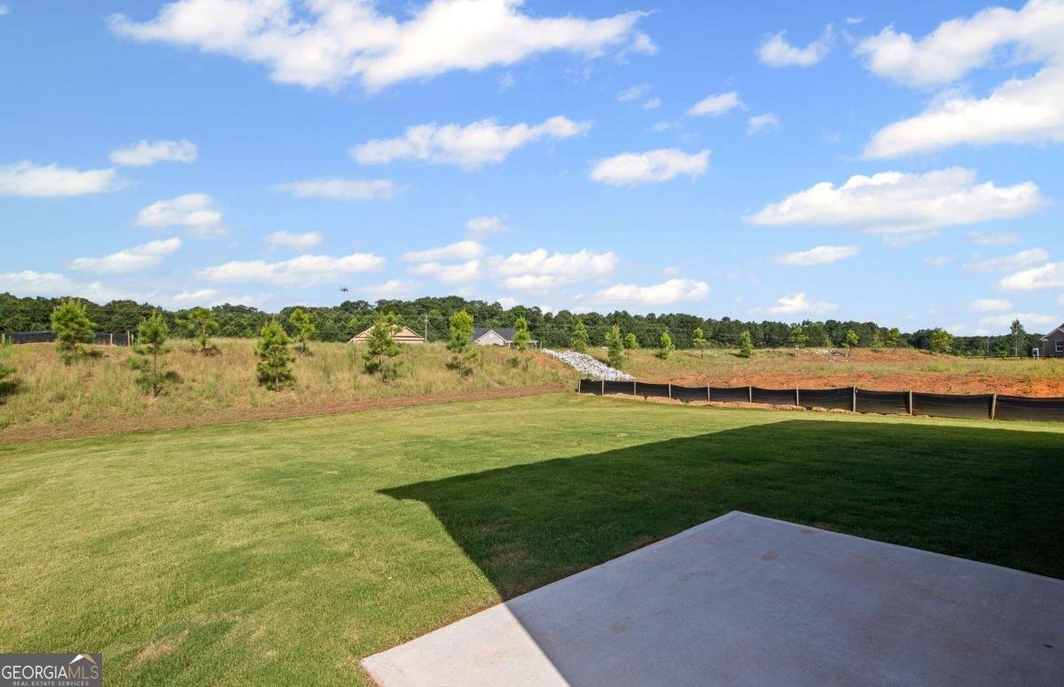 125 Kenney Way Locust Grove - Photo 36