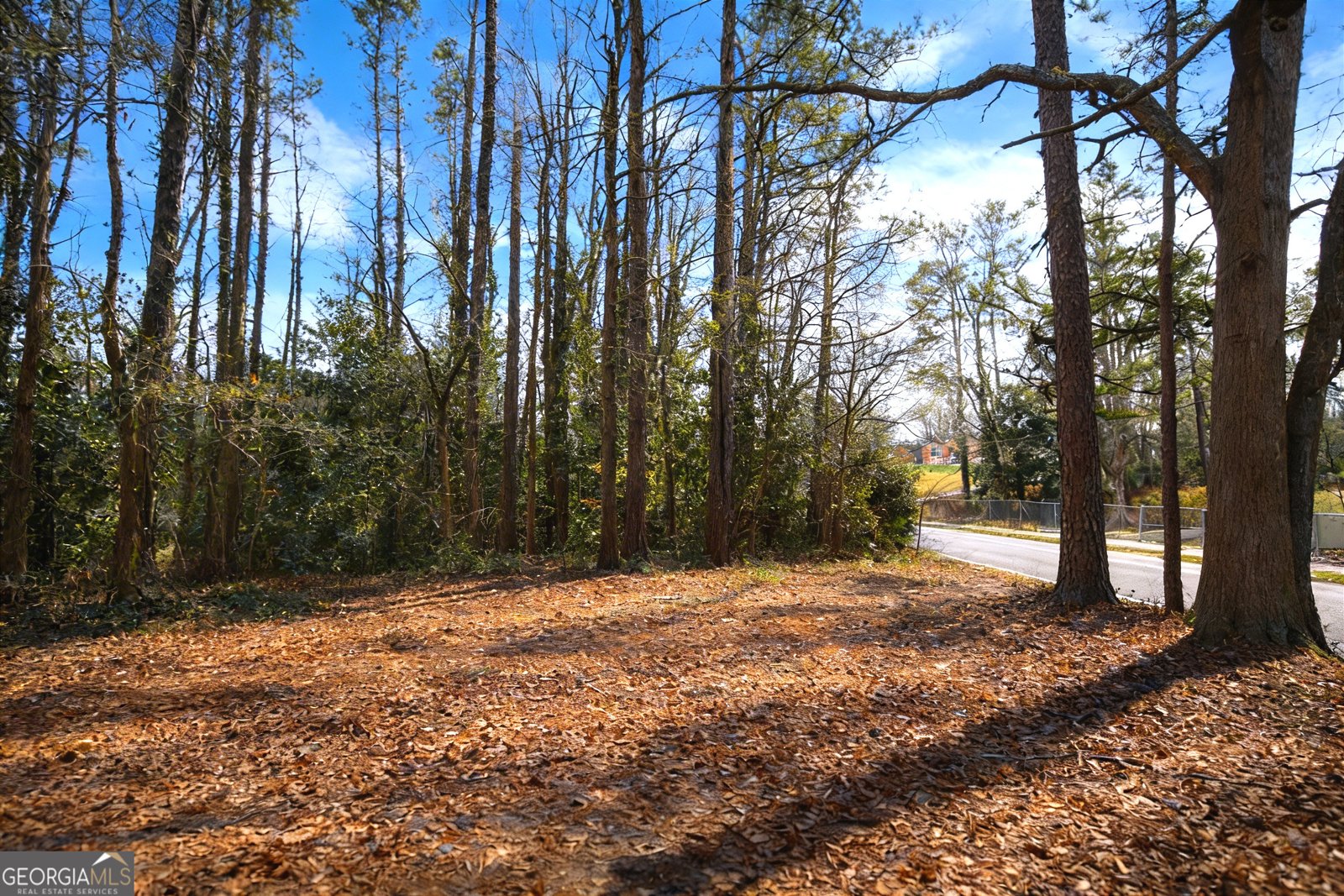 731 Bolton Road Atlanta - Photo 8