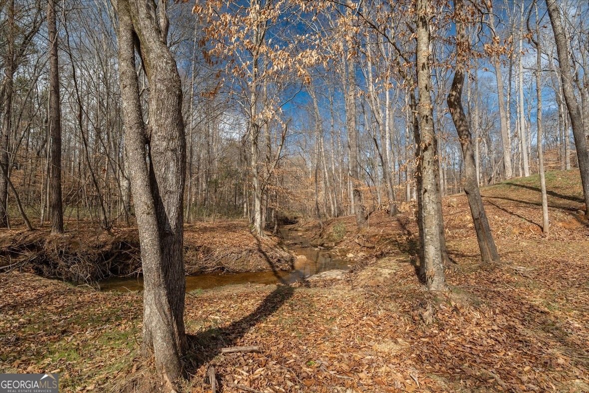 14 Cambridge Lane Bremen - Photo 47