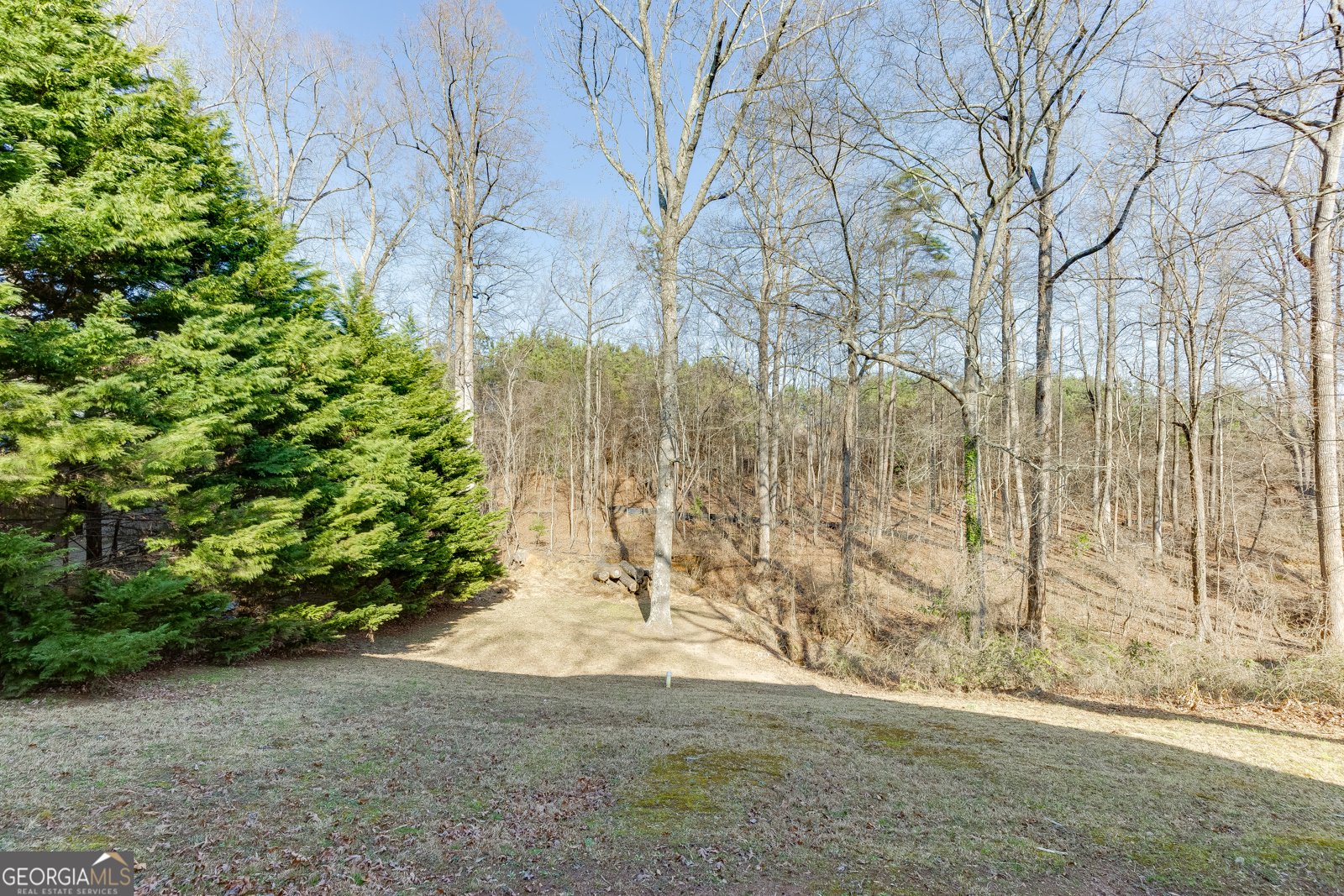 300 Forest Street Buford - Photo 34