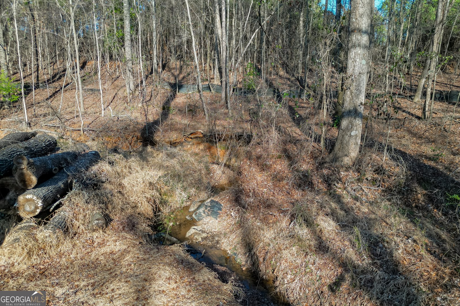 300 Forest Street Buford - Photo 36