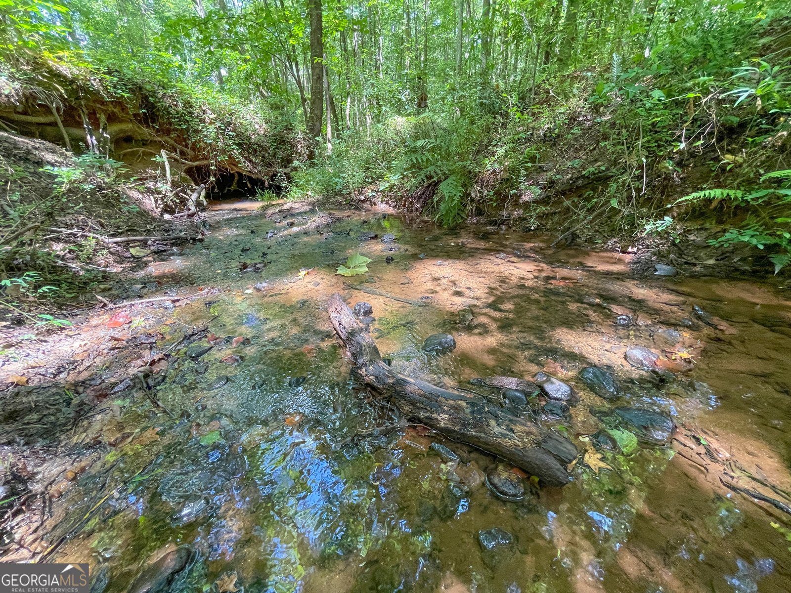 305 West Drive Roopville - Photo 11