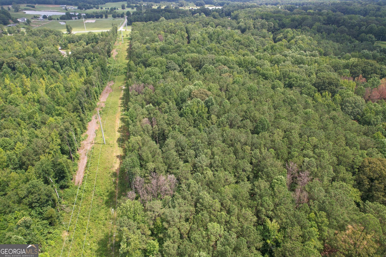 305 West Drive Roopville - Photo 12