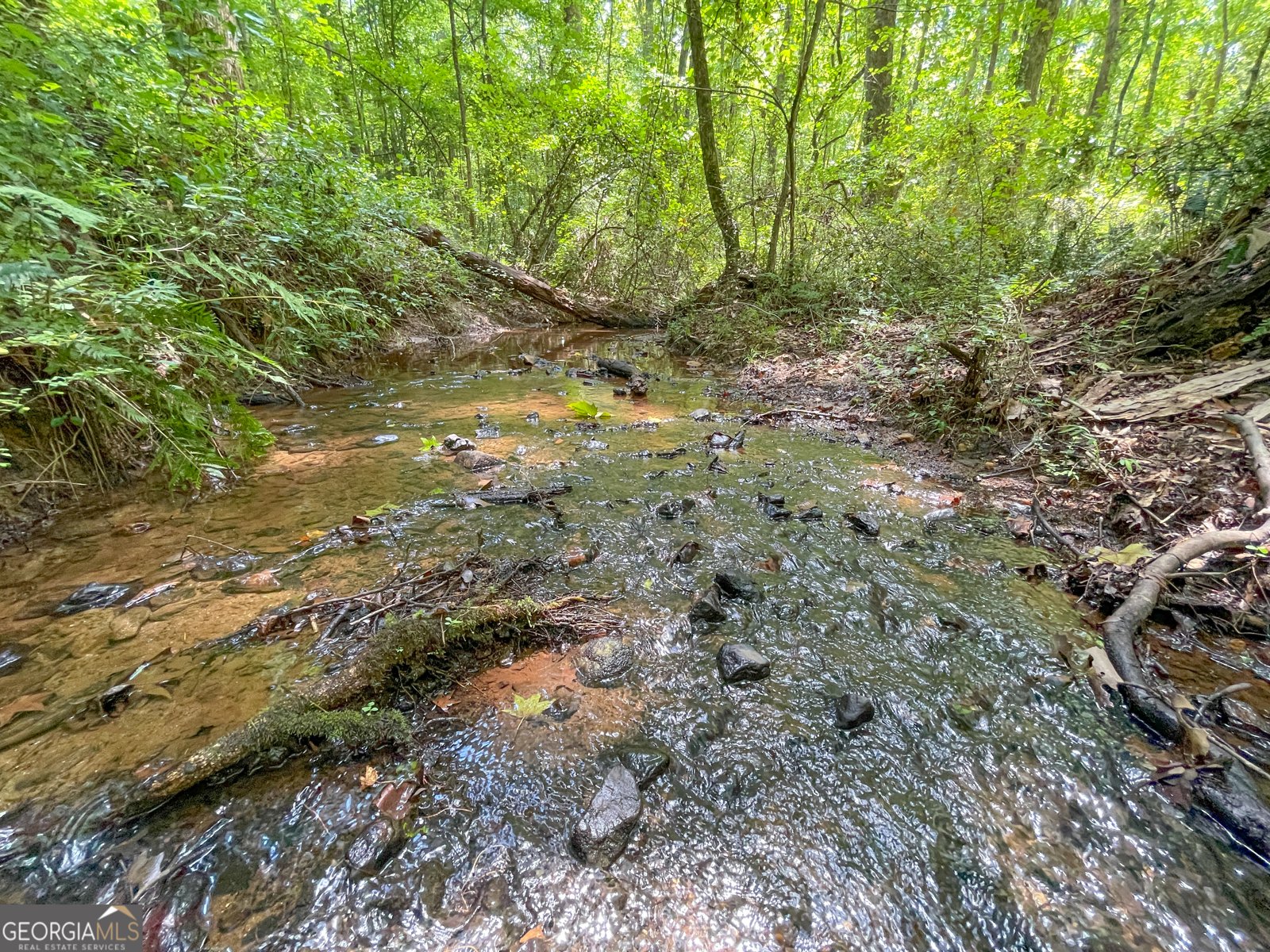 305 West Drive Roopville - Photo 6