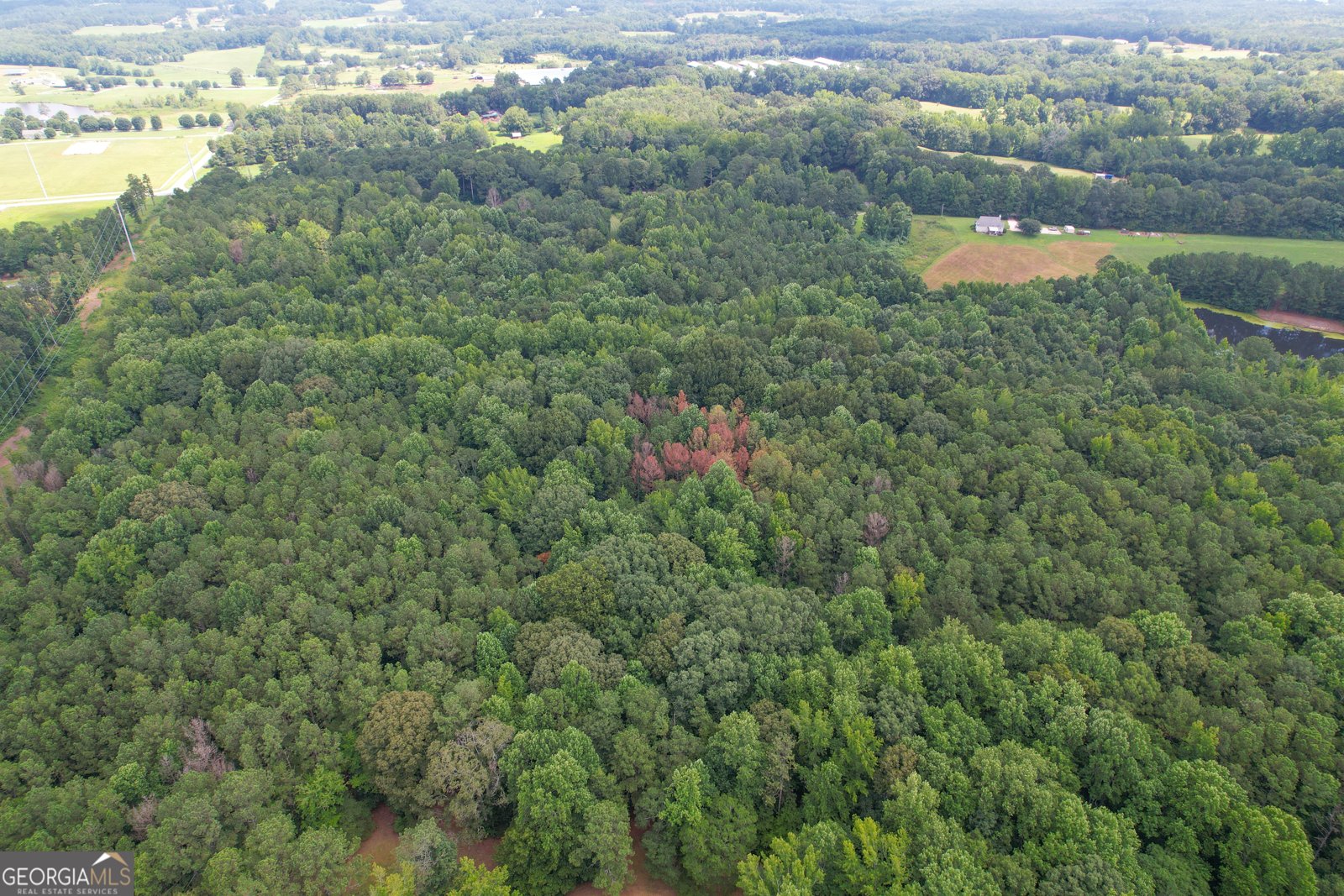 305 West Drive Roopville - Photo 61