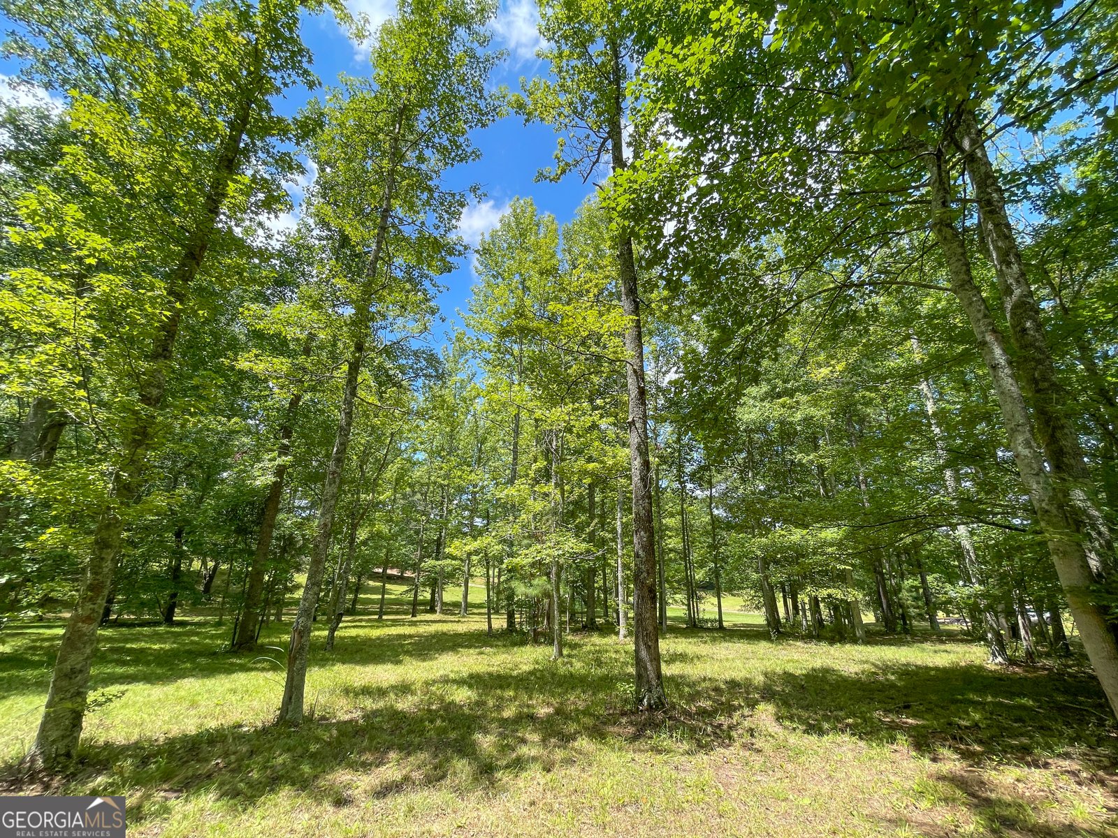 305 West Drive Roopville - Photo 67