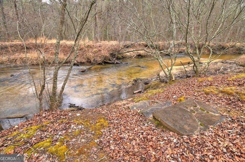 1175 Lickskillet Circle Epworth - Photo 18