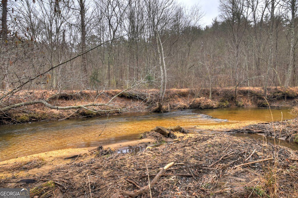 1175 Lickskillet Circle Epworth - Photo 26