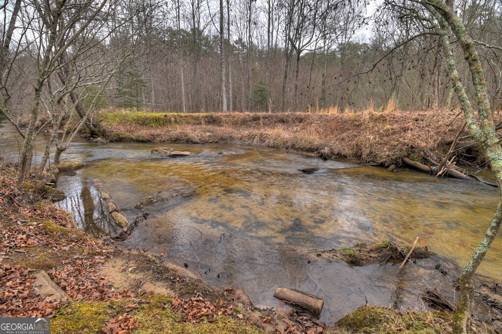 1175 Lickskillet Circle Epworth - Photo 27