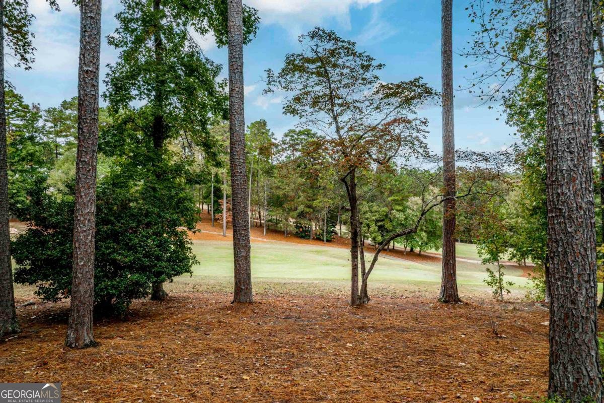 1050 Curtright Place Greensboro - Photo 68