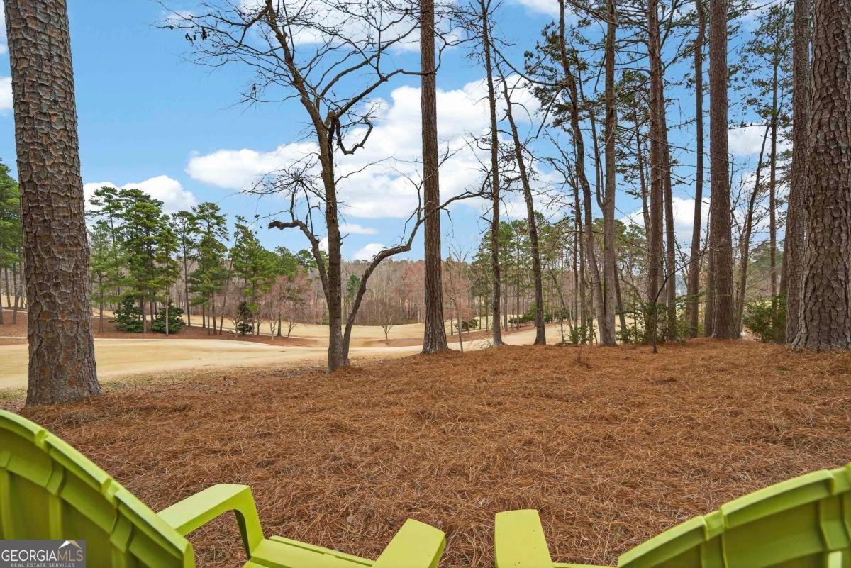 1050 Curtright Place Greensboro - Photo 69