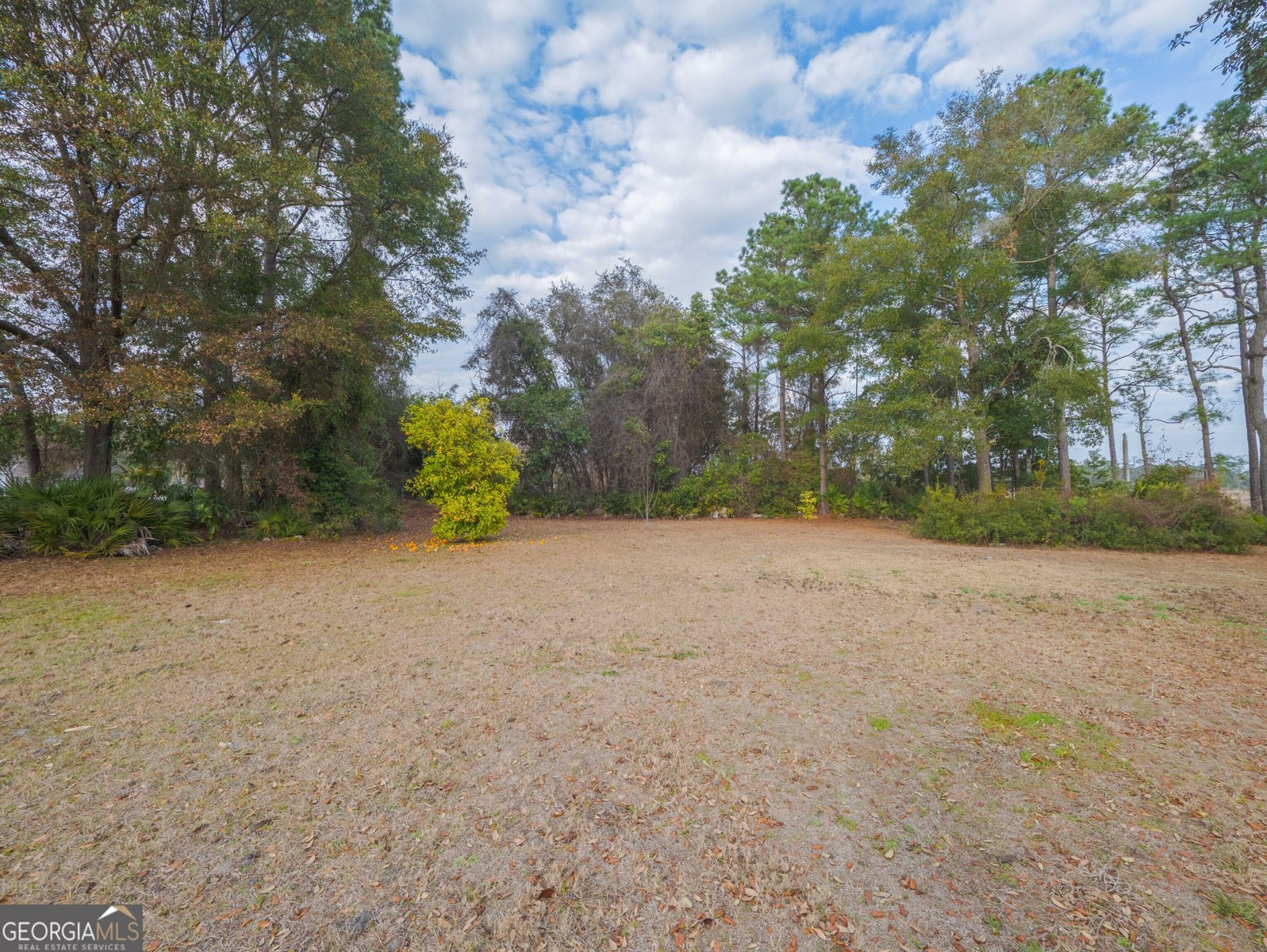 77 Cinnamon Teal Drive Woodbine - Photo 11