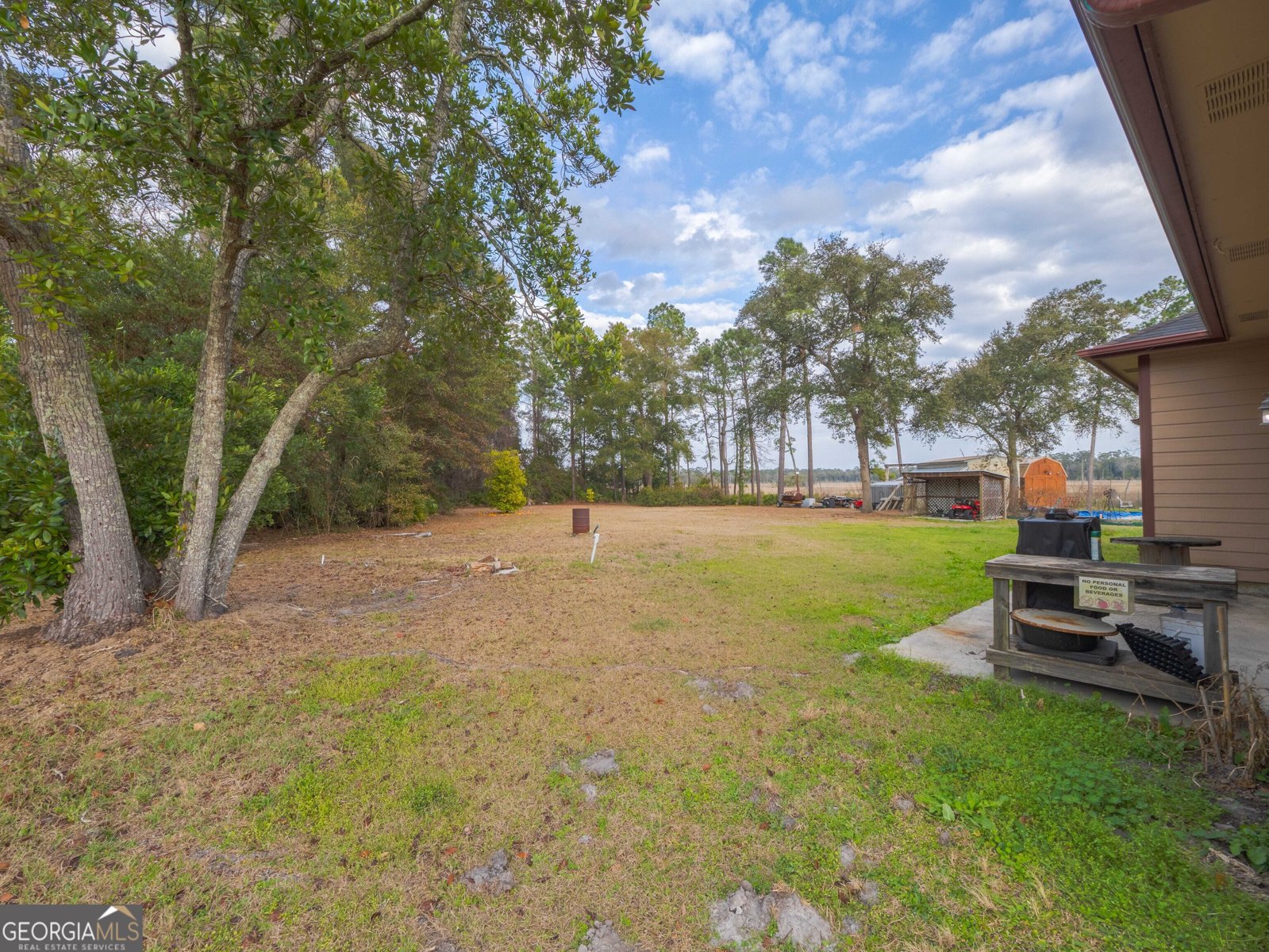 77 Cinnamon Teal Drive Woodbine - Photo 8