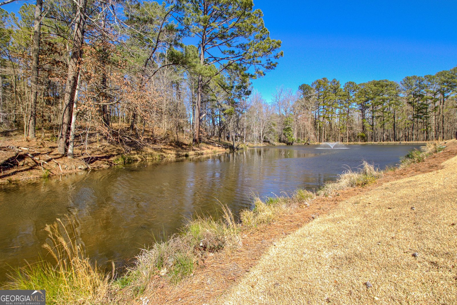 1103 Maybeck Way Peachtree City - Photo 69