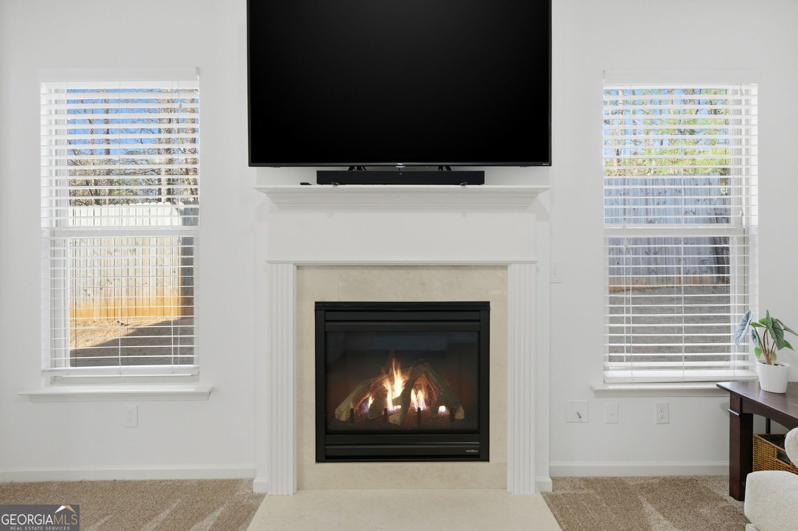 246 Manous Way Canton - Photo 9