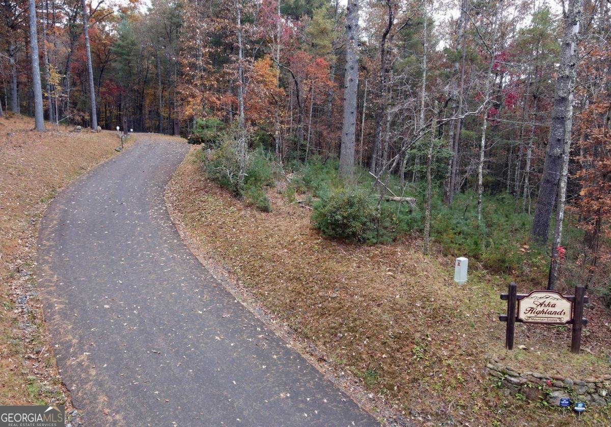 120 Aska Forest Trail Blue Ridge - Photo 56