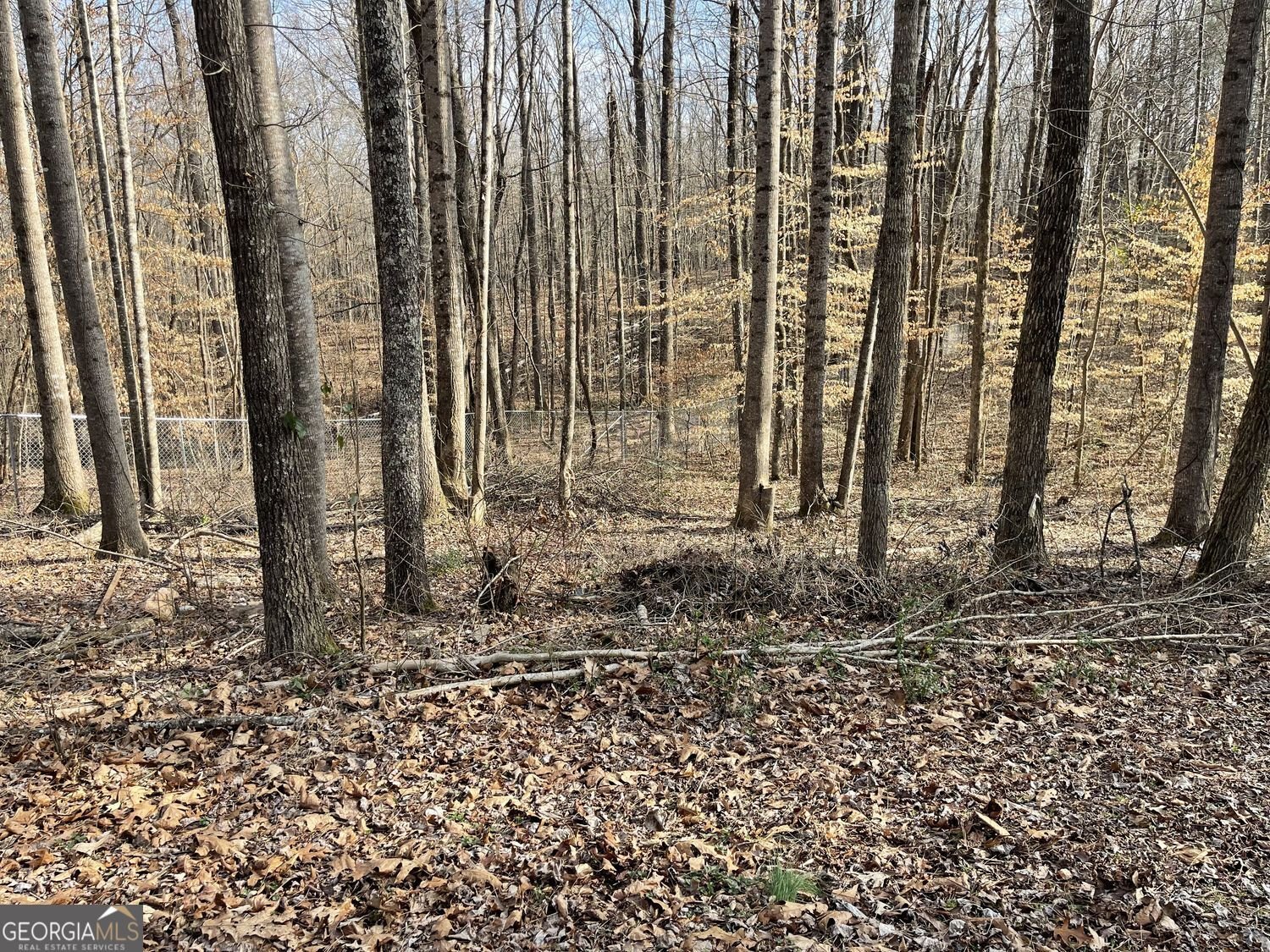 83 Twin Creeks Drive Bremen - Photo 11