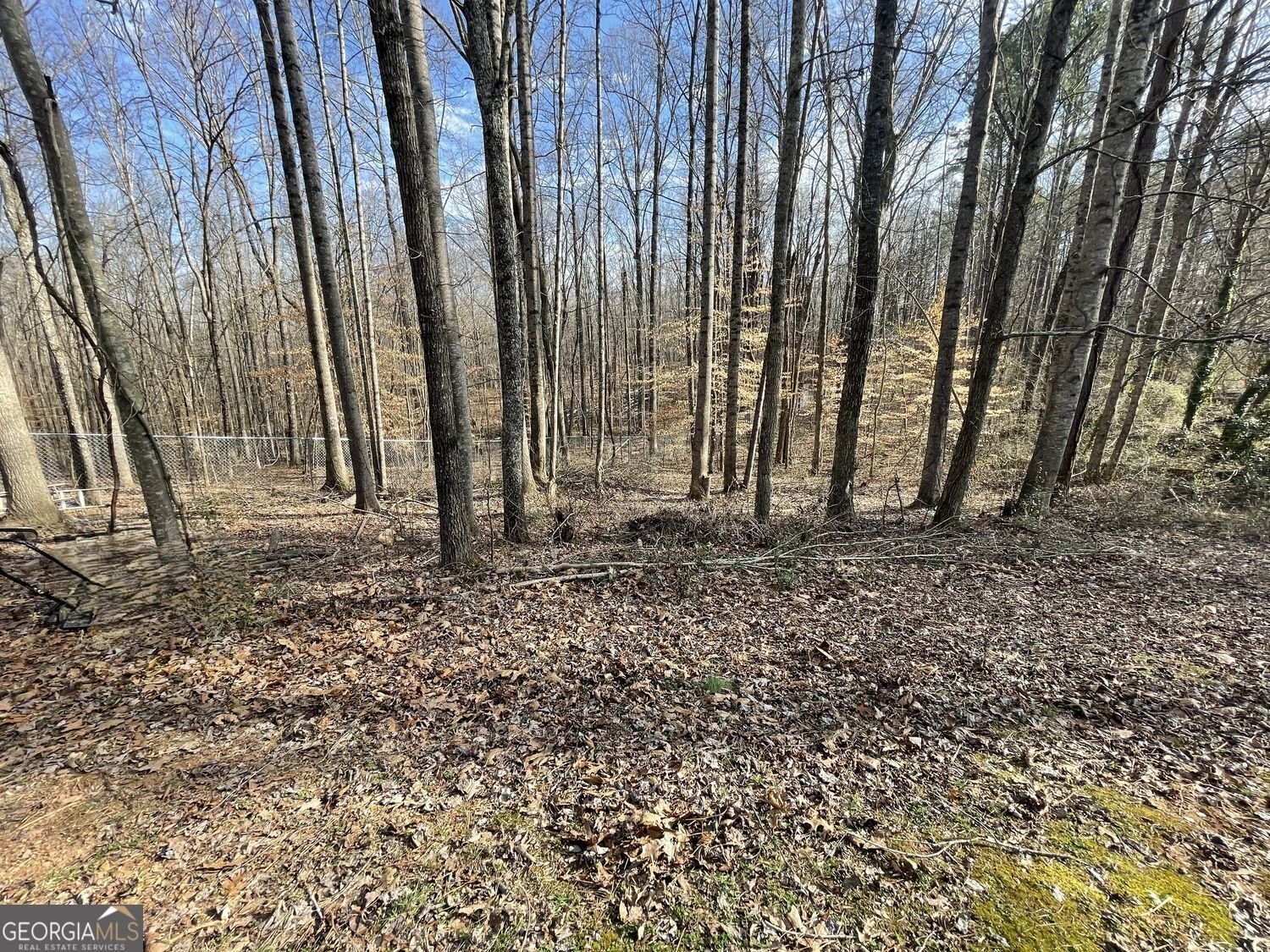 83 Twin Creeks Drive Bremen - Photo 12