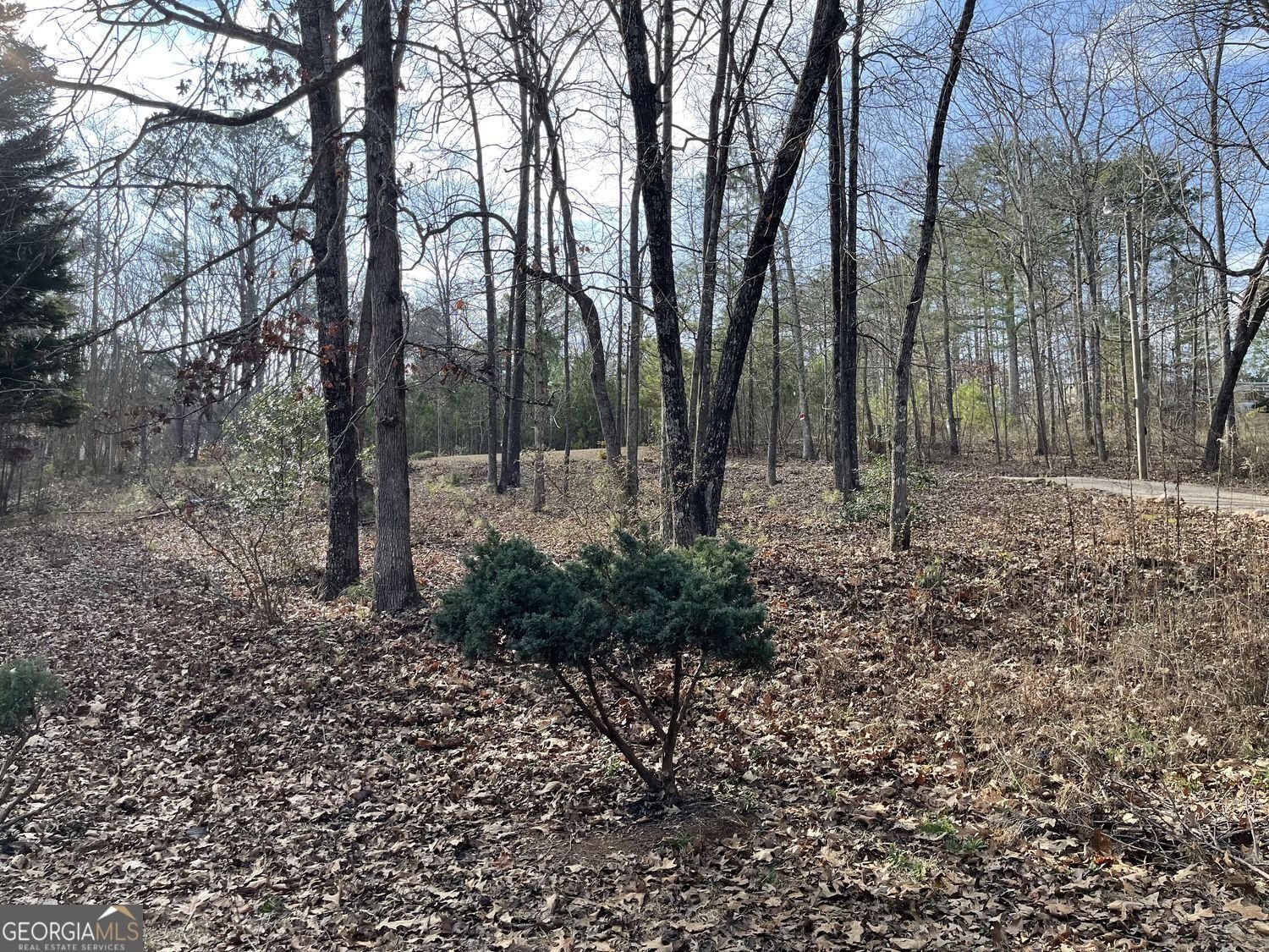 83 Twin Creeks Drive Bremen - Photo 14