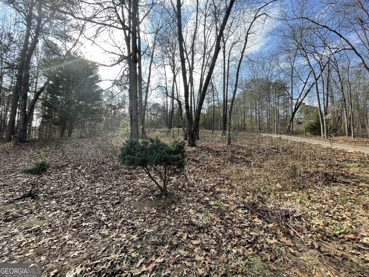 83 Twin Creeks Drive Bremen - Photo 15