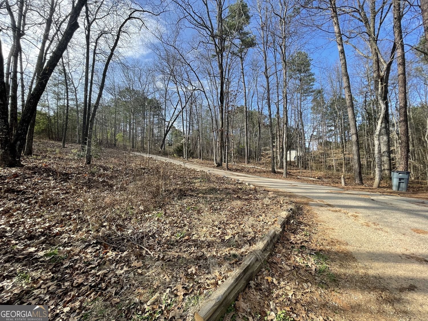 83 Twin Creeks Drive Bremen - Photo 16