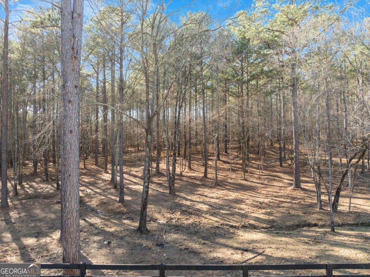 247 Parks Mill Road Buckhead - Photo 50