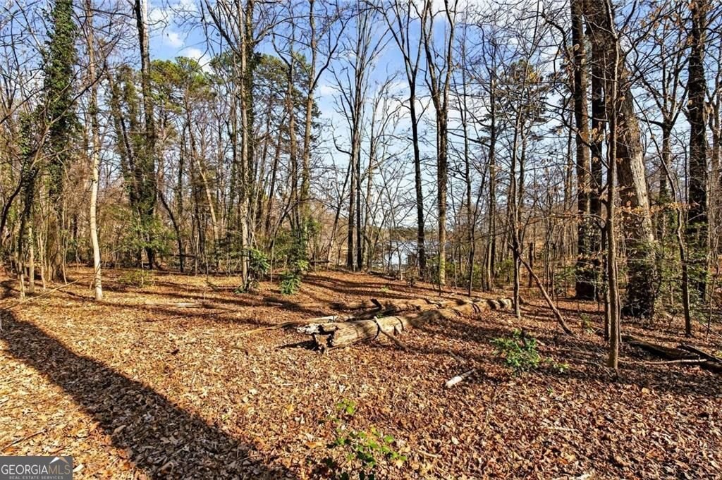 2120 Cleveland Highway Gainesville - Photo 30