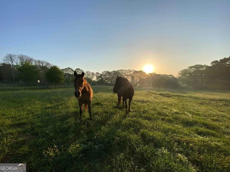 4005 Apple Valley Road Commerce - Photo 6