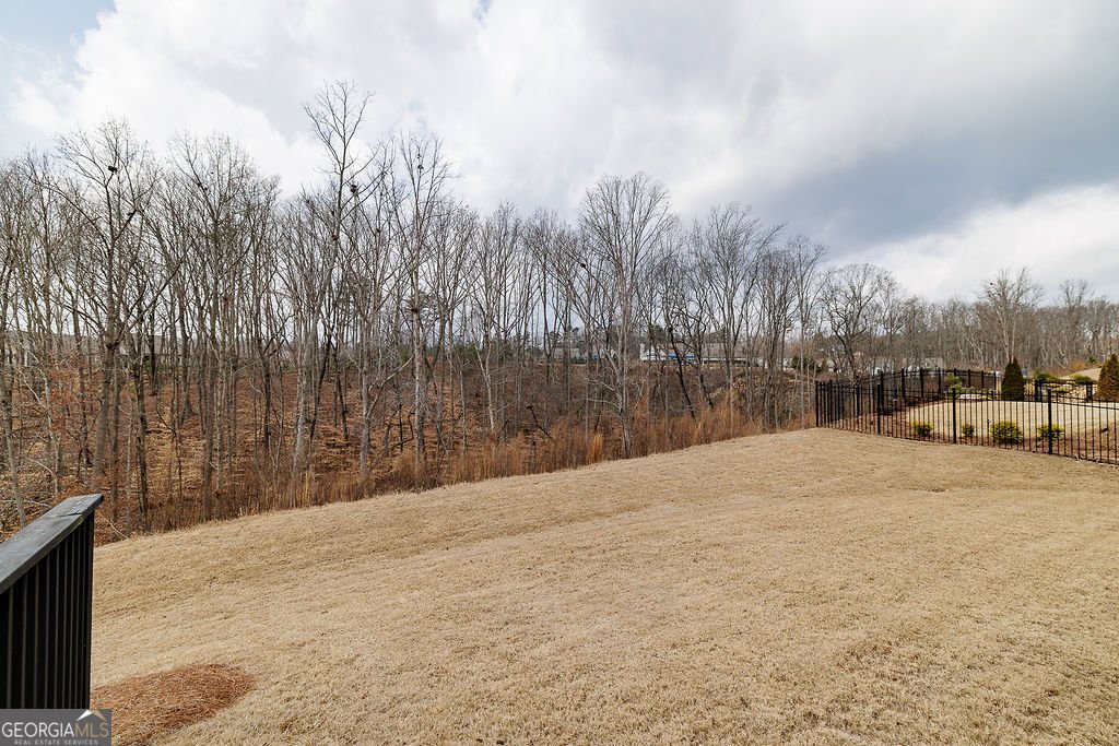 6954 Scenic Overlook Trace Flowery Branch - Photo 47
