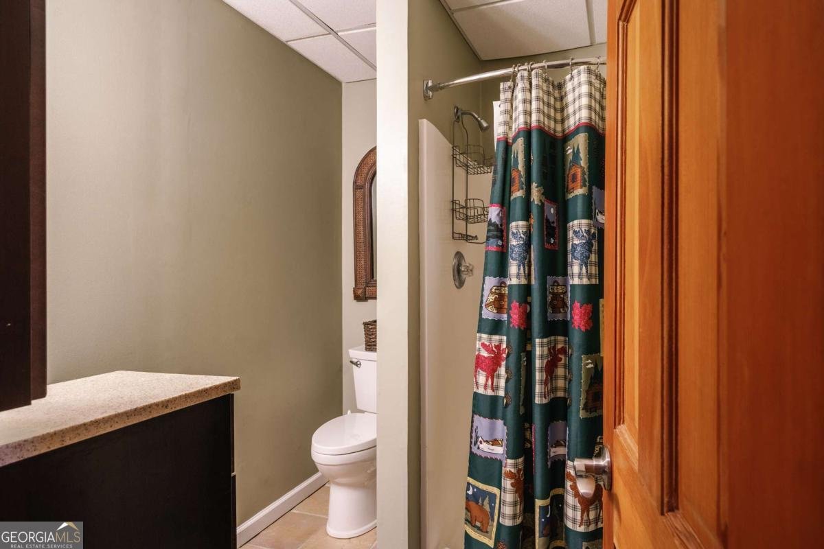 94 Old Place Drive Blue Ridge - Photo 52