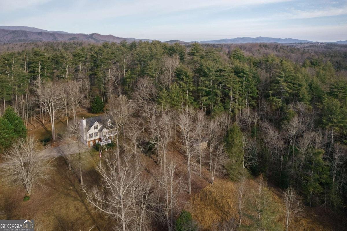 94 Old Place Drive Blue Ridge - Photo 64