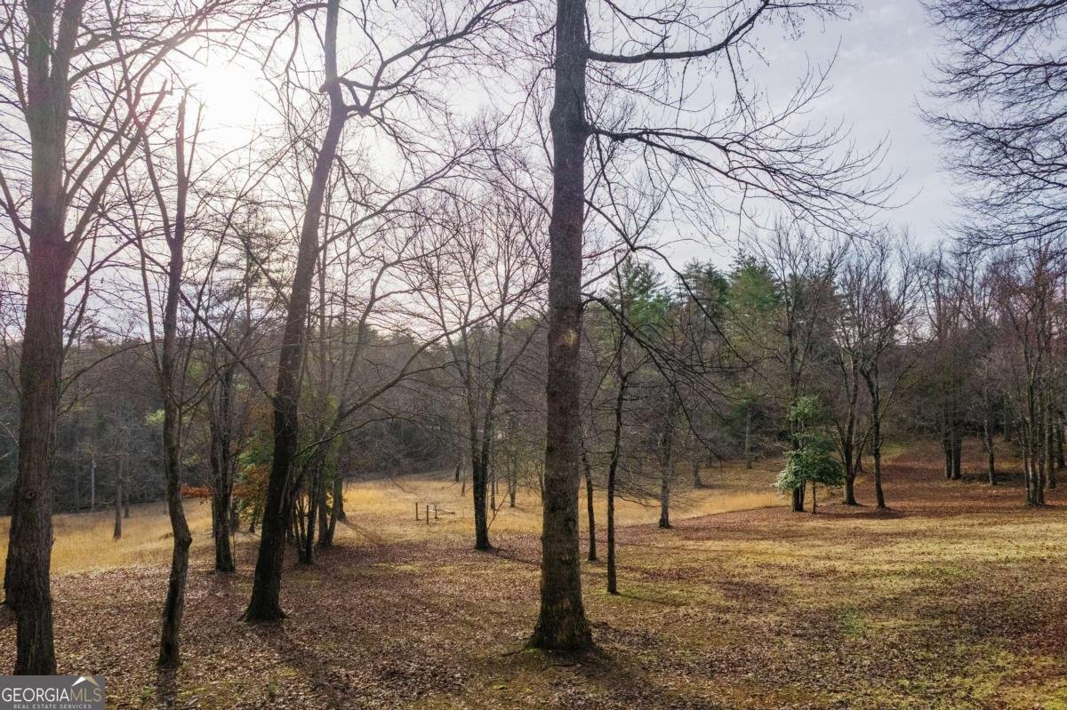 94 Old Place Drive Blue Ridge - Photo 65