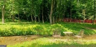 720 Guy Jarrard Road Dahlonega - Photo 10