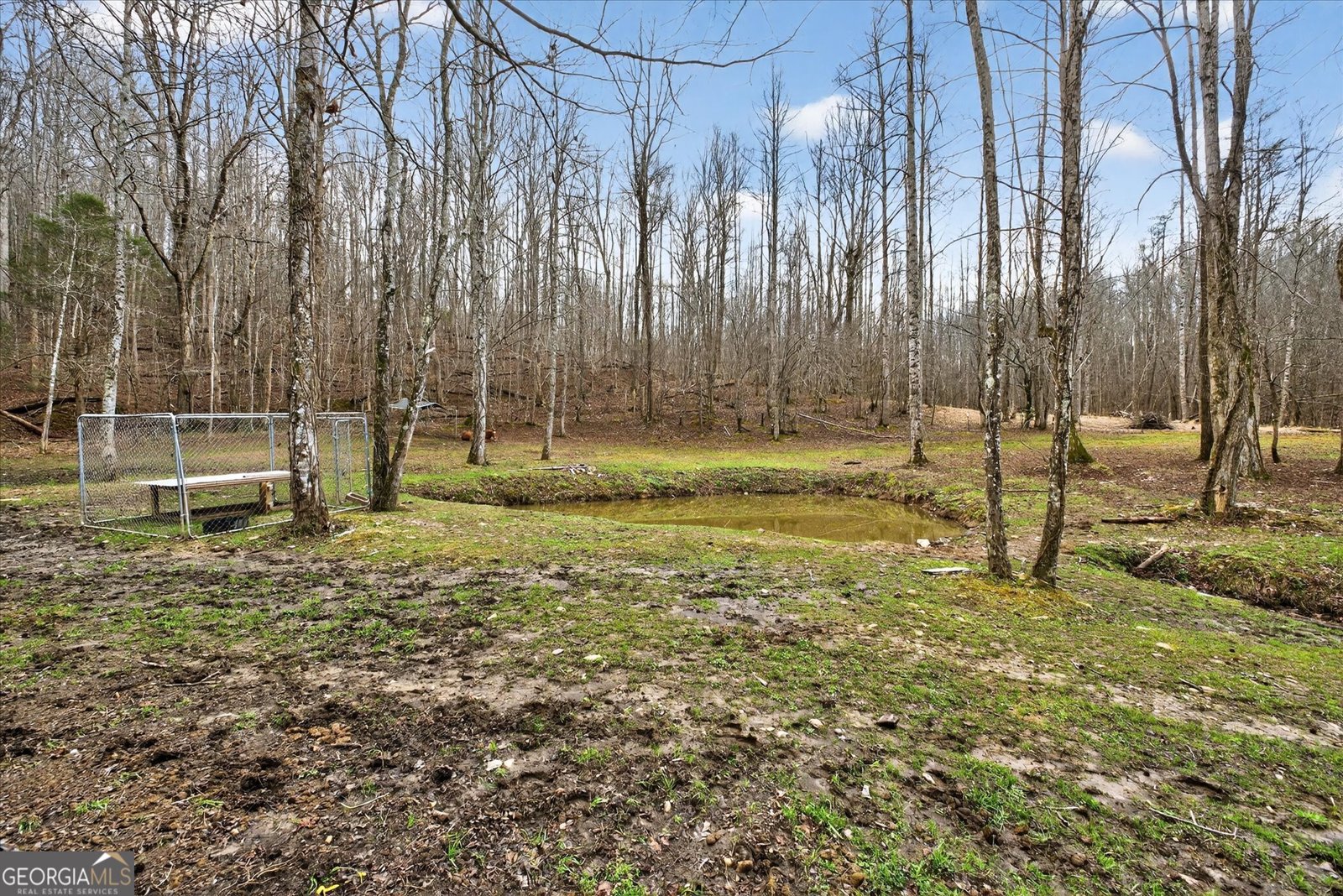 720 Guy Jarrard Road Dahlonega - Photo 25