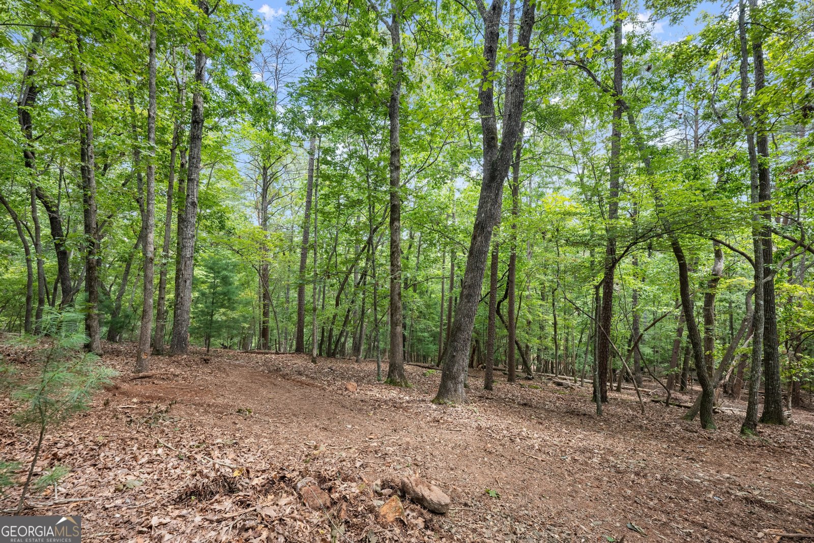 486 Laurel Circle Dahlonega - Photo 38