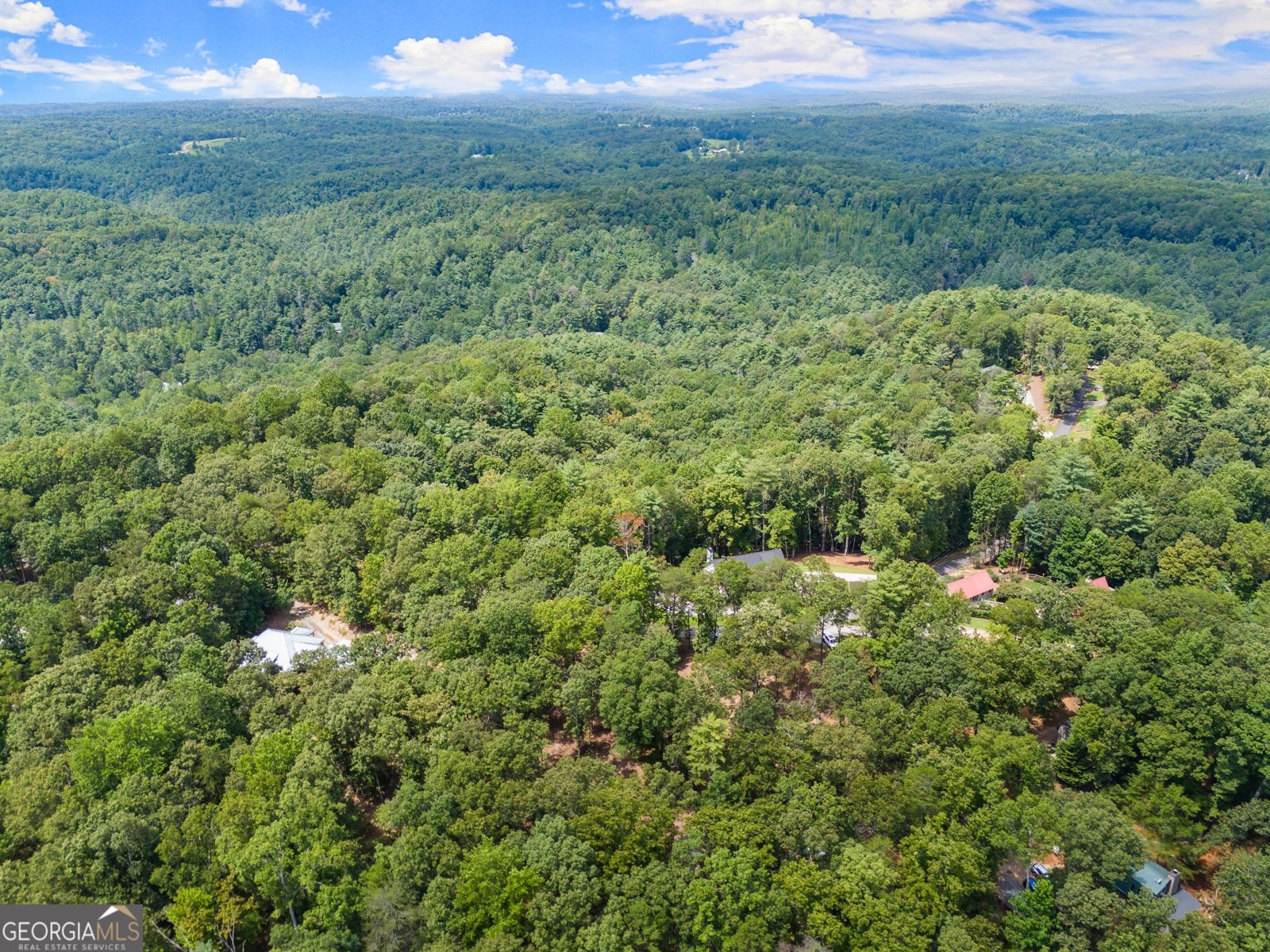 486 Laurel Circle Dahlonega - Photo 51