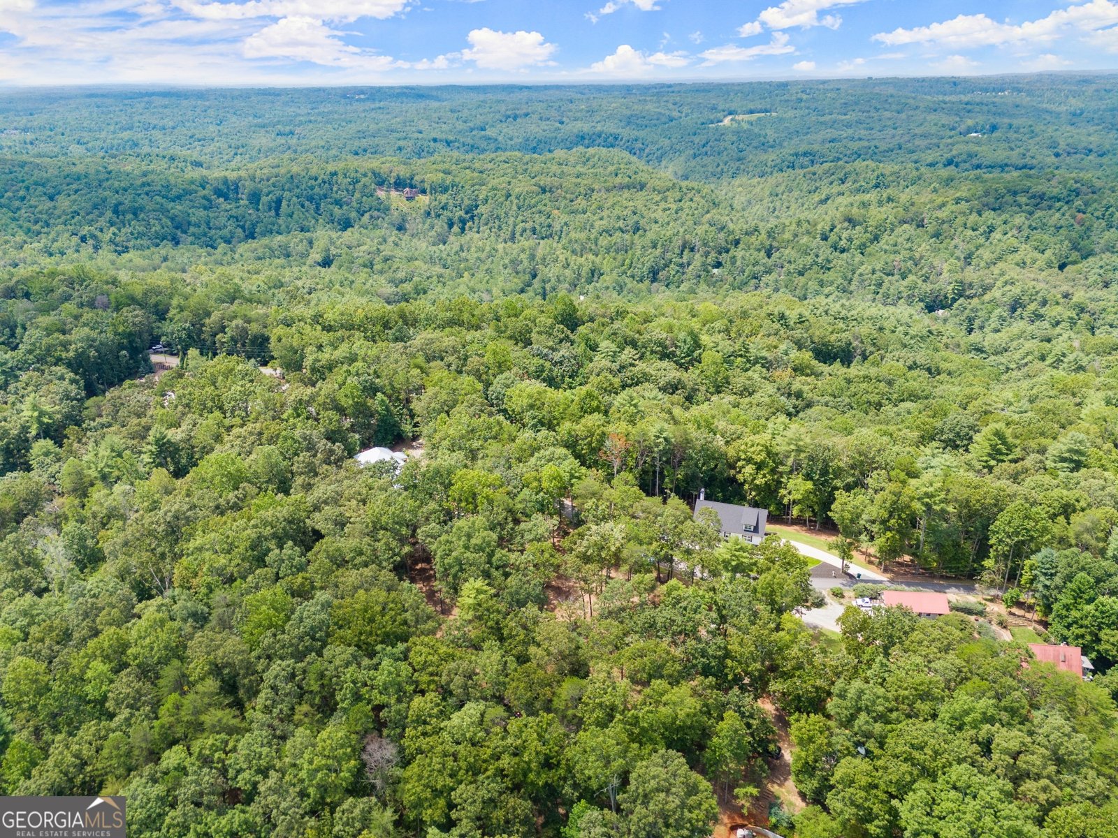 486 Laurel Circle Dahlonega - Photo 52