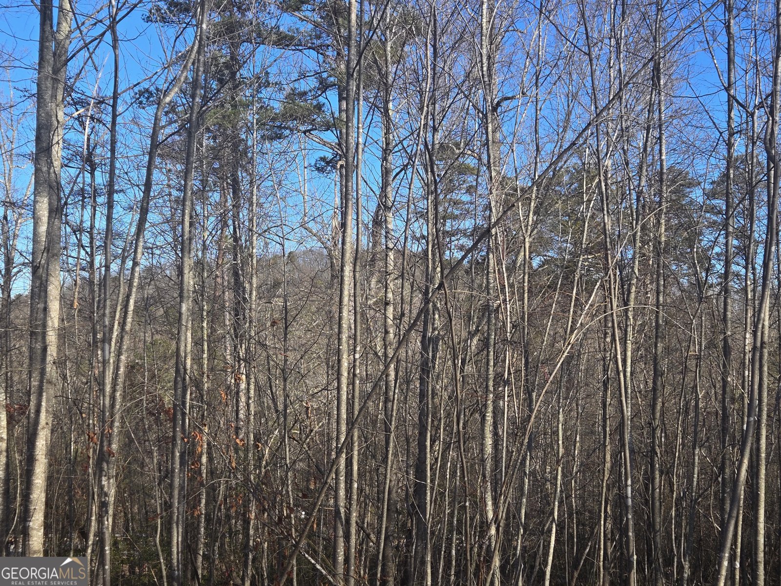 256 Canyon Point Drive Demorest - Photo 34