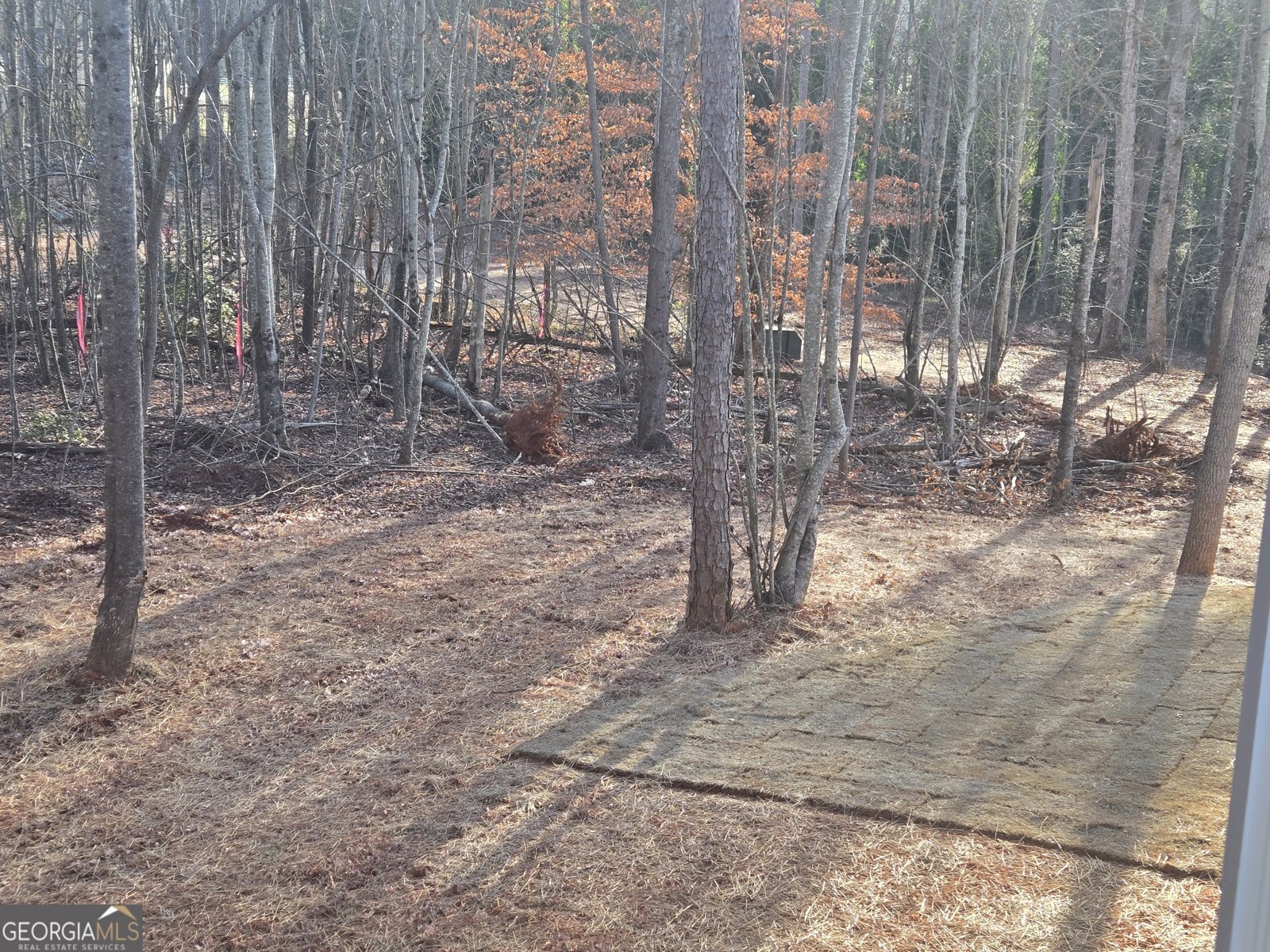 256 Canyon Point Drive Demorest - Photo 35
