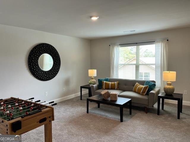 110 Liberty Freedom Lane Maysville - Photo 17