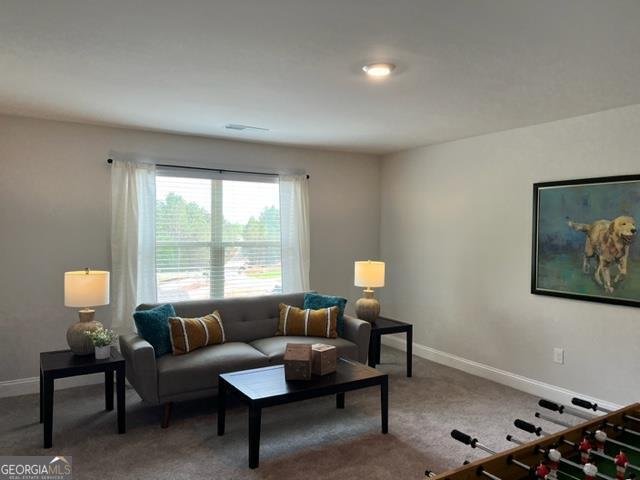 110 Liberty Freedom Lane Maysville - Photo 18