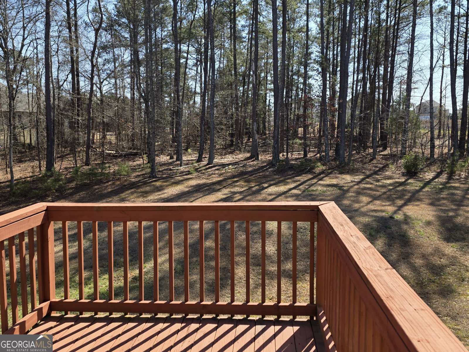 133 Harold Drive McDonough - Photo 11