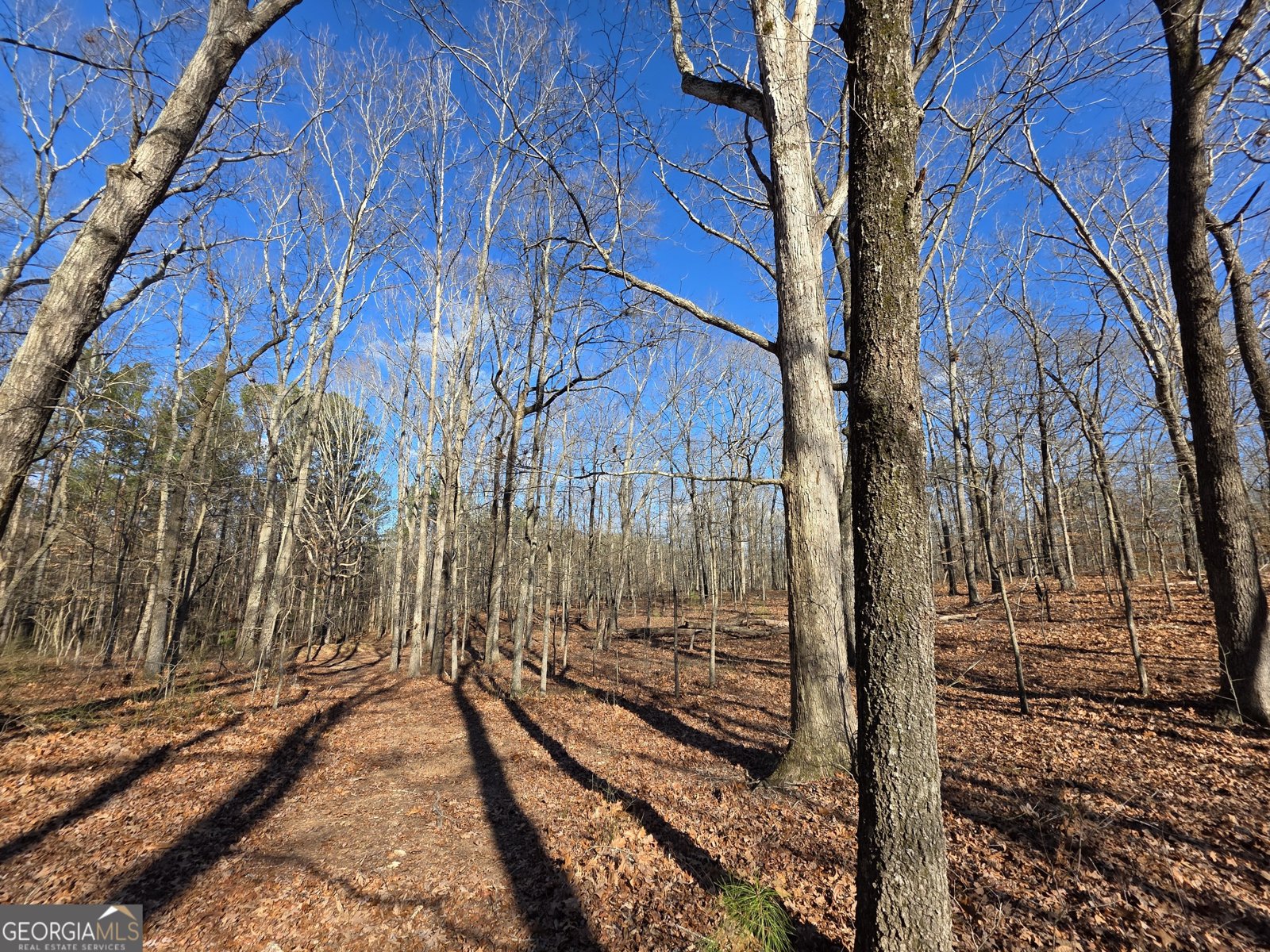 3879 Caney Head Road Franklin - Photo 34