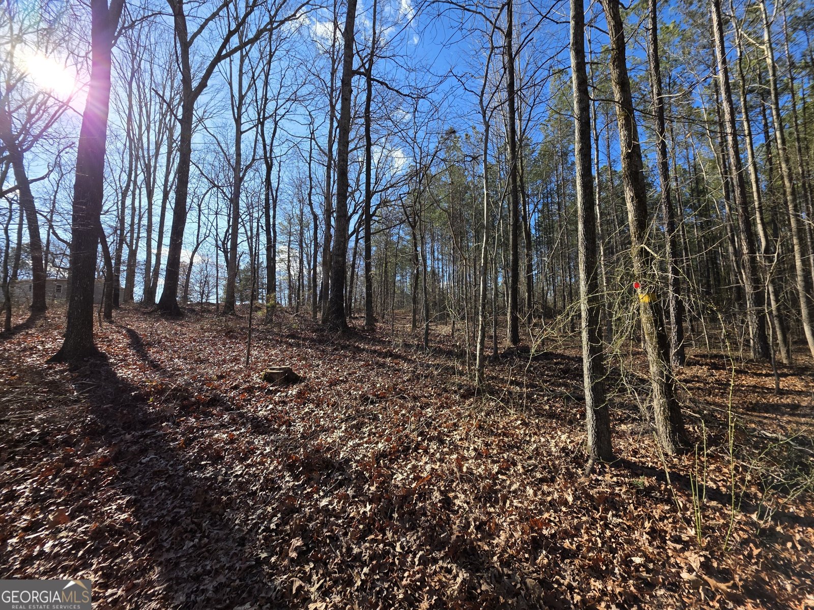 3879 Caney Head Road Franklin - Photo 35