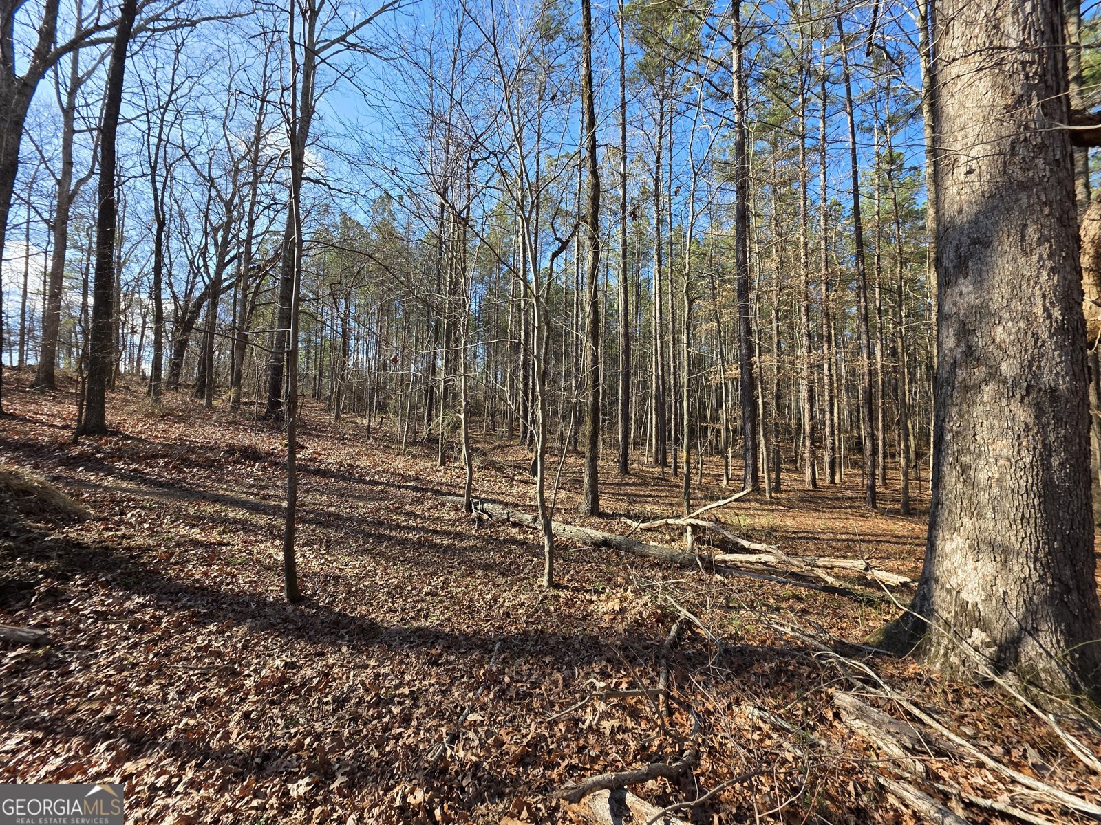 3879 Caney Head Road Franklin - Photo 36