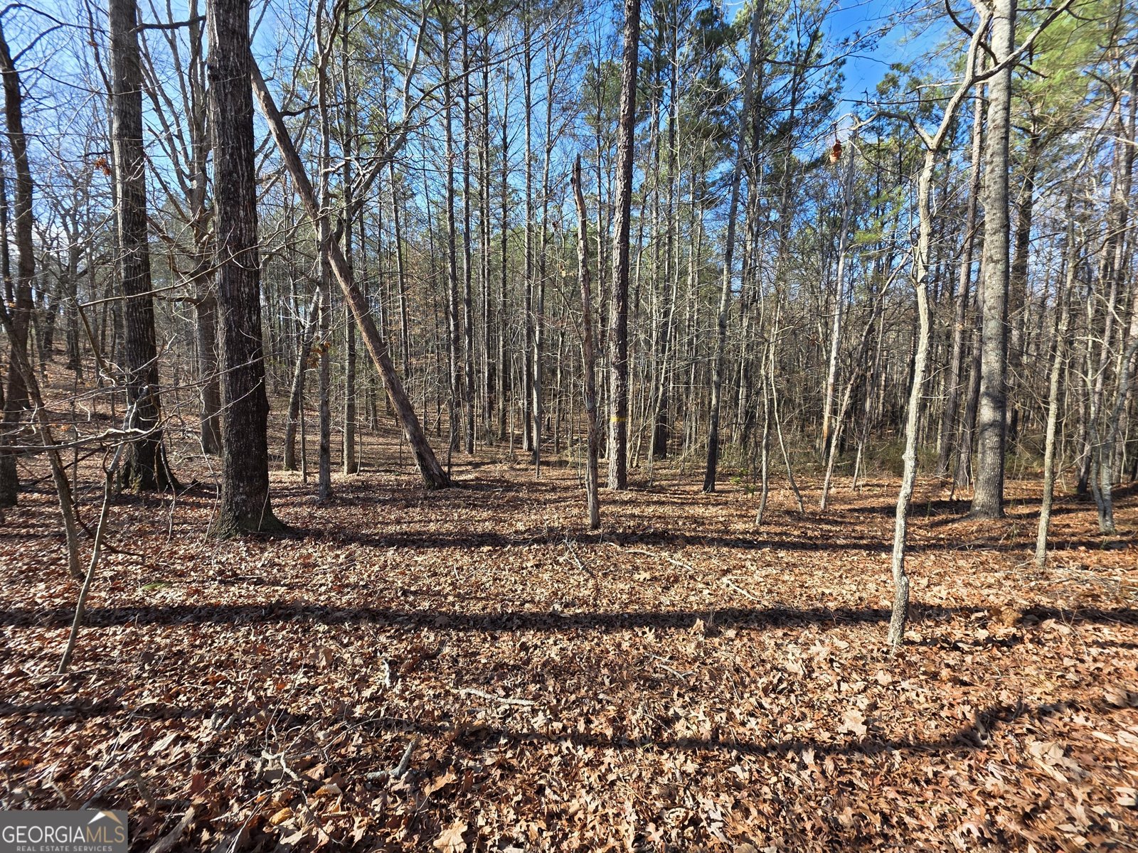 3879 Caney Head Road Franklin - Photo 37