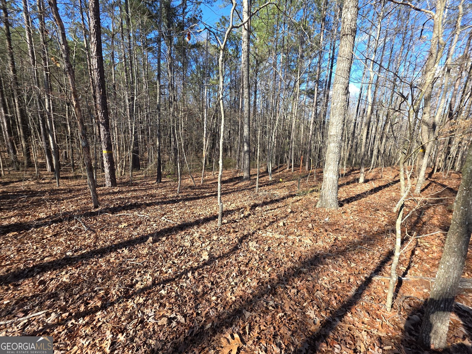 3879 Caney Head Road Franklin - Photo 38