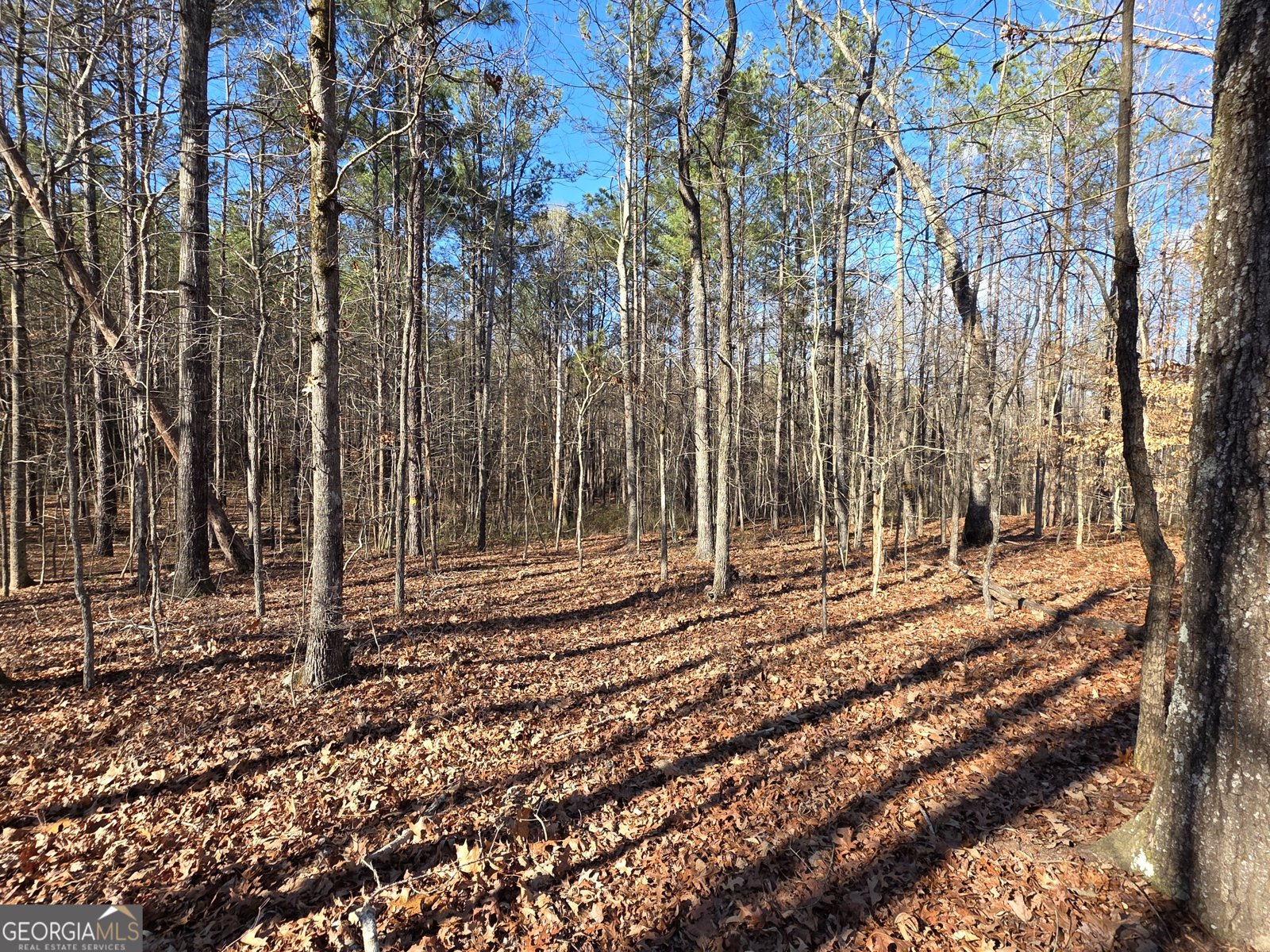 3879 Caney Head Road Franklin - Photo 39