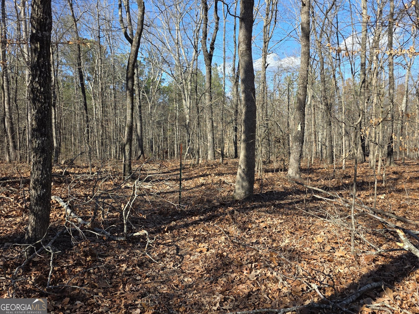 3879 Caney Head Road Franklin - Photo 40