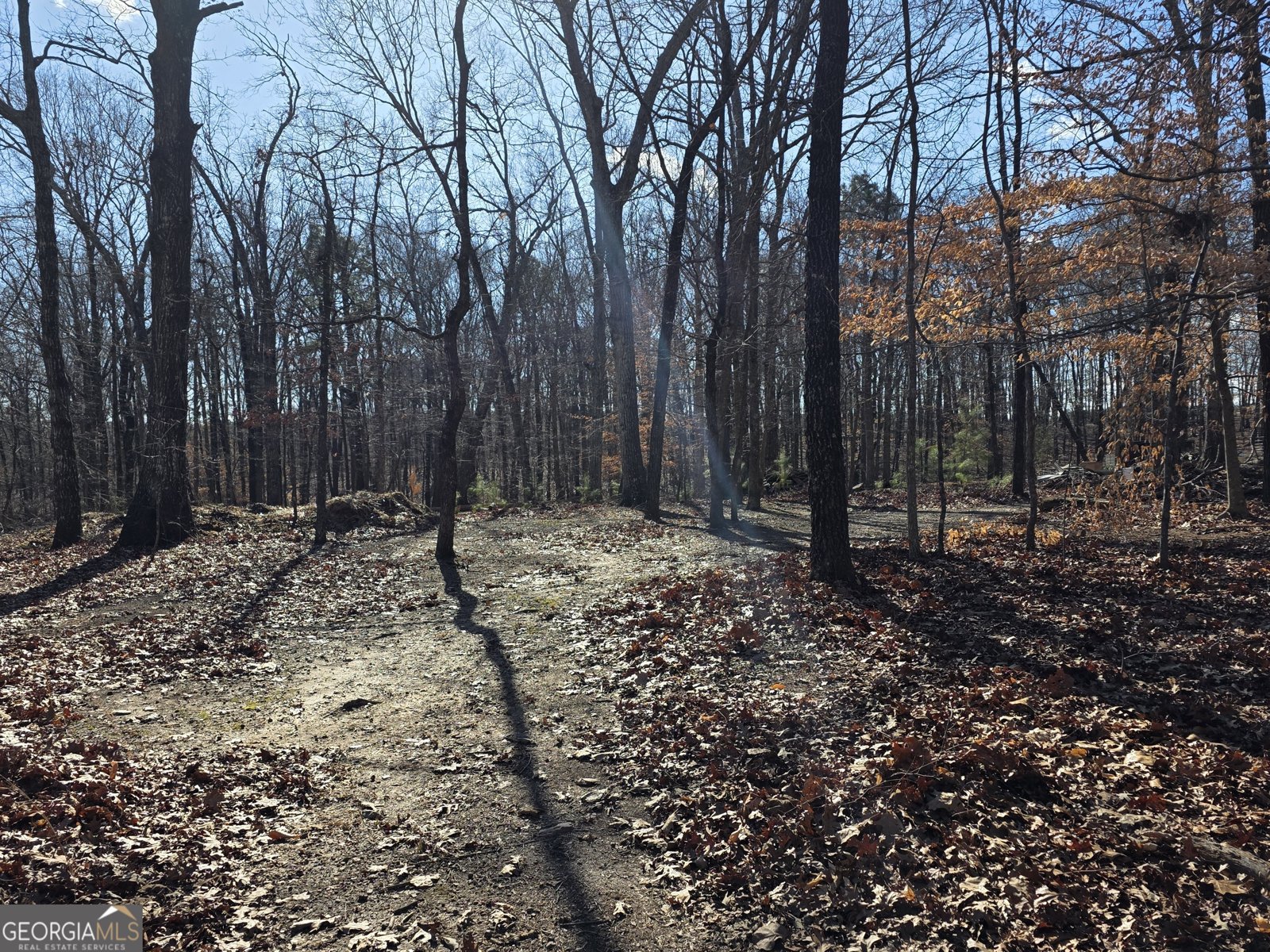 3879 Caney Head Road Franklin - Photo 41